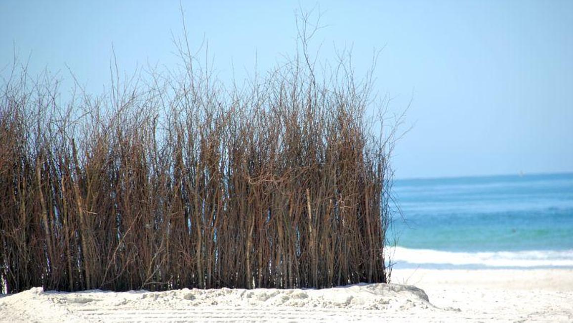 A dune: beach, grass and the north sea in the background