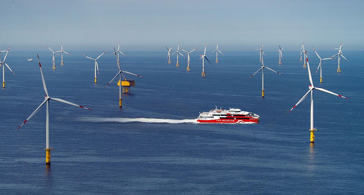Der "Halunder Jet" fährt durch einen Offshore-Windpark.