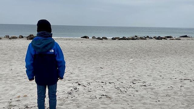 Oskar am Strand, bei den Robben.