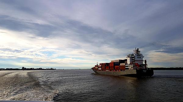 Shipspotting on the Elbe: Containership